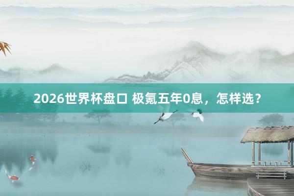 2026世界杯盘口 极氪五年0息，怎样选？
