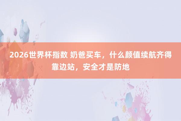 2026世界杯指数 奶爸买车，什么颜值续航齐得靠边站，安全才是防地