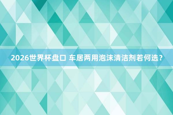 2026世界杯盘口 车居两用泡沫清洁剂若何选?