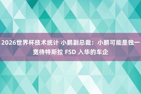 2026世界杯技术统计 小鹏副总裁:小鹏可能是独一宽待特斯拉 FSD 入华的车企
