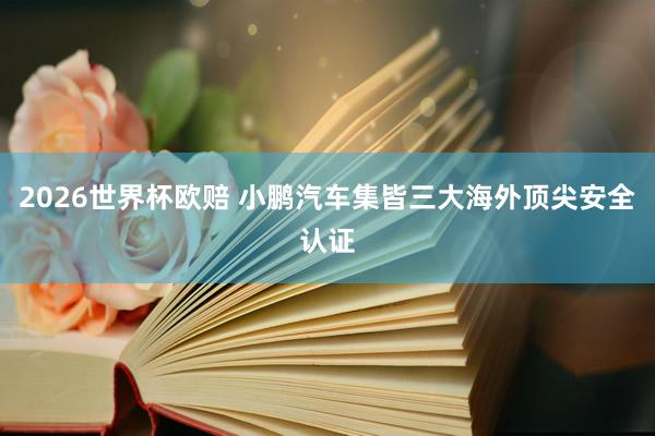2026世界杯欧赔 小鹏汽车集皆三大海外顶尖安全认证