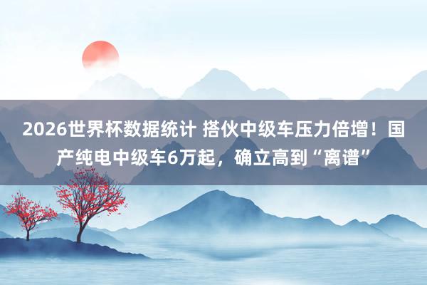 2026世界杯数据统计 搭伙中级车压力倍增！国产纯电中级车6万起，确立高到“离谱”