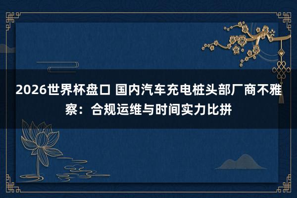 2026世界杯盘口 国内汽车充电桩头部厂商不雅察:合规运维与时间实力比拼
