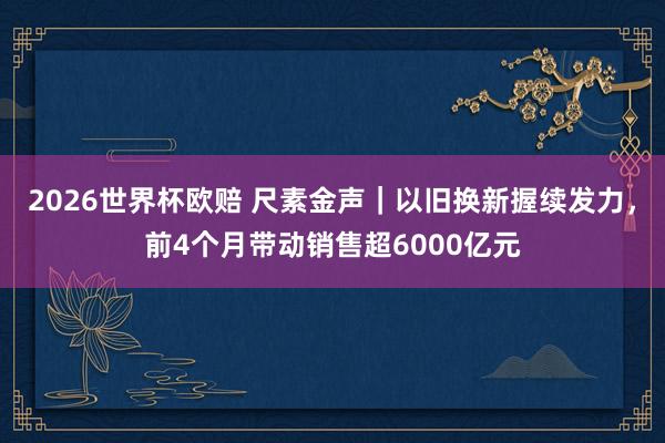 2026世界杯欧赔 尺素金声|以旧换新握续发力,前4个月带动销售超6000亿元