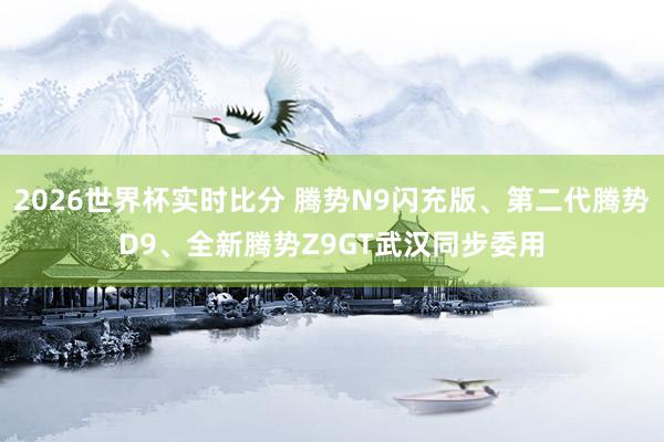 2026世界杯实时比分 腾势N9闪充版、第二代腾势D9、全新腾势Z9GT武汉同步委用