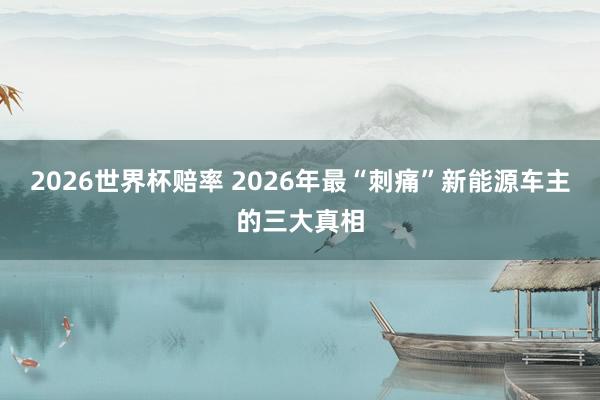 2026世界杯赔率 2026年最“刺痛”新能源车主的三大真相