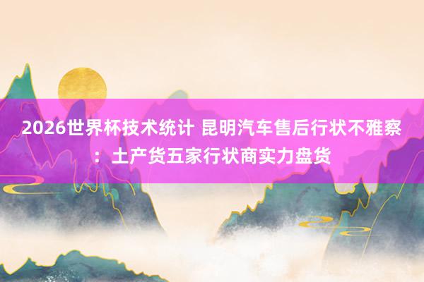 2026世界杯技术统计 昆明汽车售后行状不雅察：土产货五家行状商实力盘货