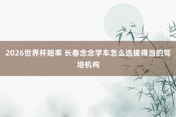 2026世界杯赔率 长春念念学车怎么选拔得当的驾培机构