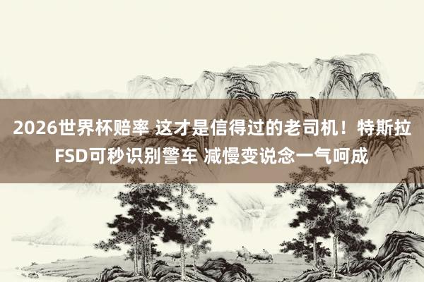 2026世界杯赔率 这才是信得过的老司机！特斯拉FSD可秒识别警车 减慢变说念一气呵成
