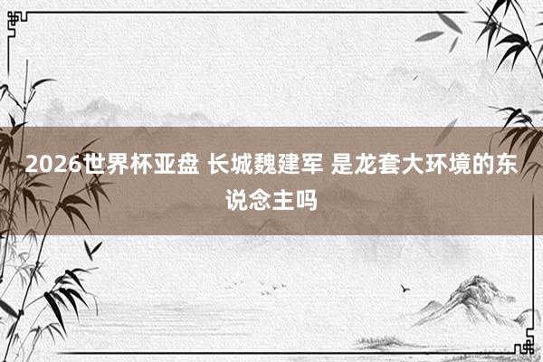 2026世界杯亚盘 长城魏建军 是龙套大环境的东说念主吗