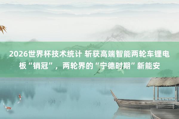 2026世界杯技术统计 斩获高端智能两轮车锂电板“销冠”，两轮界的“宁德时期”新能安