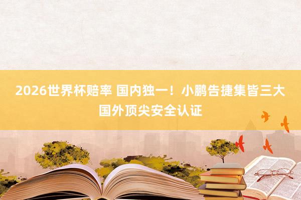 2026世界杯赔率 国内独一！小鹏告捷集皆三大国外顶尖安全认证