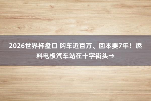 2026世界杯盘口 购车近百万、回本要7年！燃料电板汽车站在十字街头→
