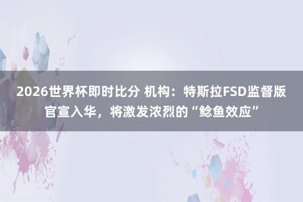 2026世界杯即时比分 机构:特斯拉FSD监督版官宣入华,将激发浓烈的“鲶鱼效应”