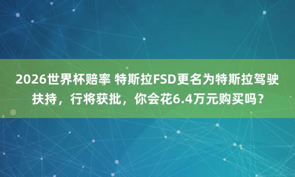 2026世界杯赔率 特斯拉FSD更名为特斯拉驾驶扶持，行将获批，你会花6.4万元购买吗？
