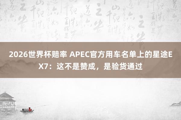 2026世界杯赔率 APEC官方用车名单上的星途EX7：这不是赞成，是验货通过