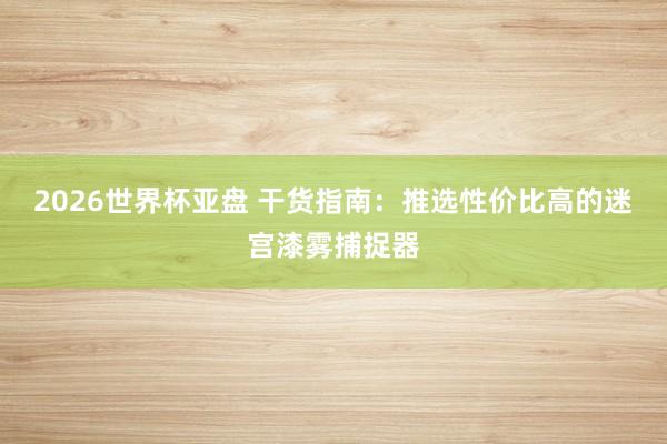 2026世界杯亚盘 干货指南：推选性价比高的迷宫漆雾捕捉器