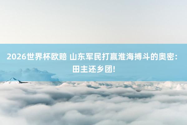 2026世界杯欧赔 山东军民打赢淮海搏斗的奥密: 田主还乡团!