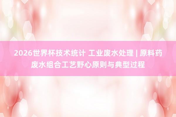 2026世界杯技术统计 工业废水处理 | 原料药废水组合工艺野心原则与典型过程