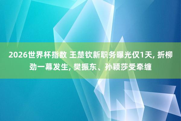 2026世界杯指数 王楚钦新职务曝光仅1天， 折柳劲一幕发生， 樊振东、孙颖莎受牵缠