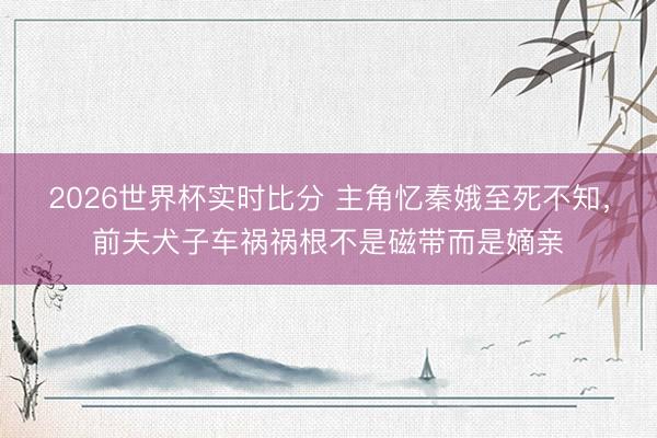 2026世界杯实时比分 主角忆秦娥至死不知,前夫犬子车祸祸根不是磁带而是嫡亲