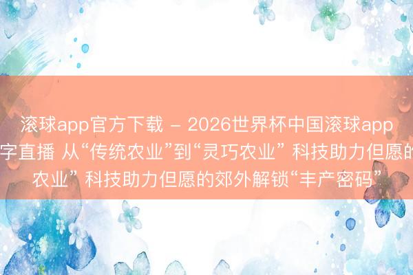 滚球app官方下载 - 2026世界杯中国滚球app官网，2026世界杯文字直播 从“传统农业”到“灵巧农业” 科技助力但愿的郊外解锁“丰产密码”